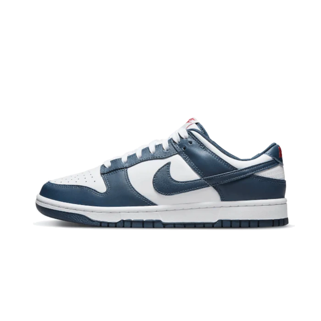 Nike Dunk Low Valerian Blue