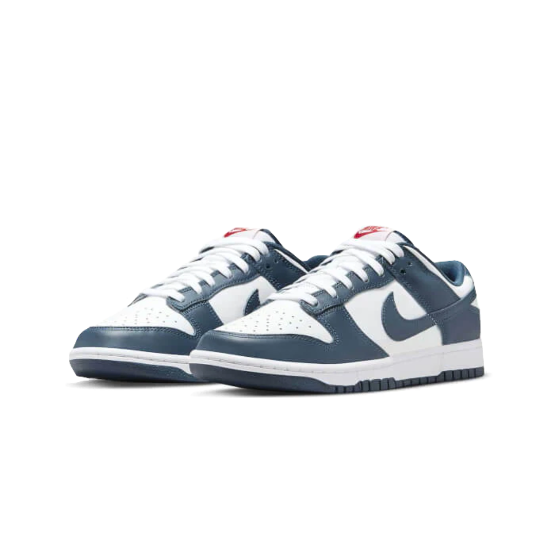 Nike Dunk Low Valerian Blue
